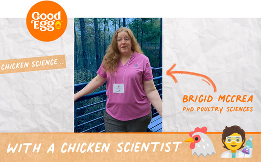 Chicken Science with a chicken scientist. Dr Brigid McCrea