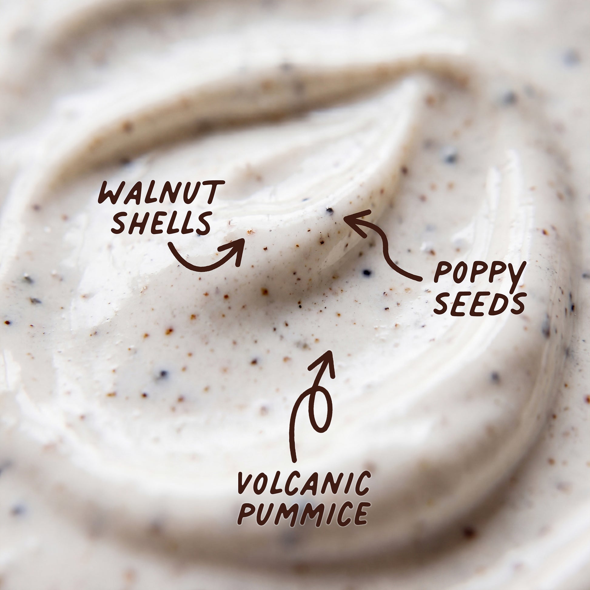 Close-up of a creamy texture with labeled ingredients: walnut shells, poppy seeds, and volcanic pumice.