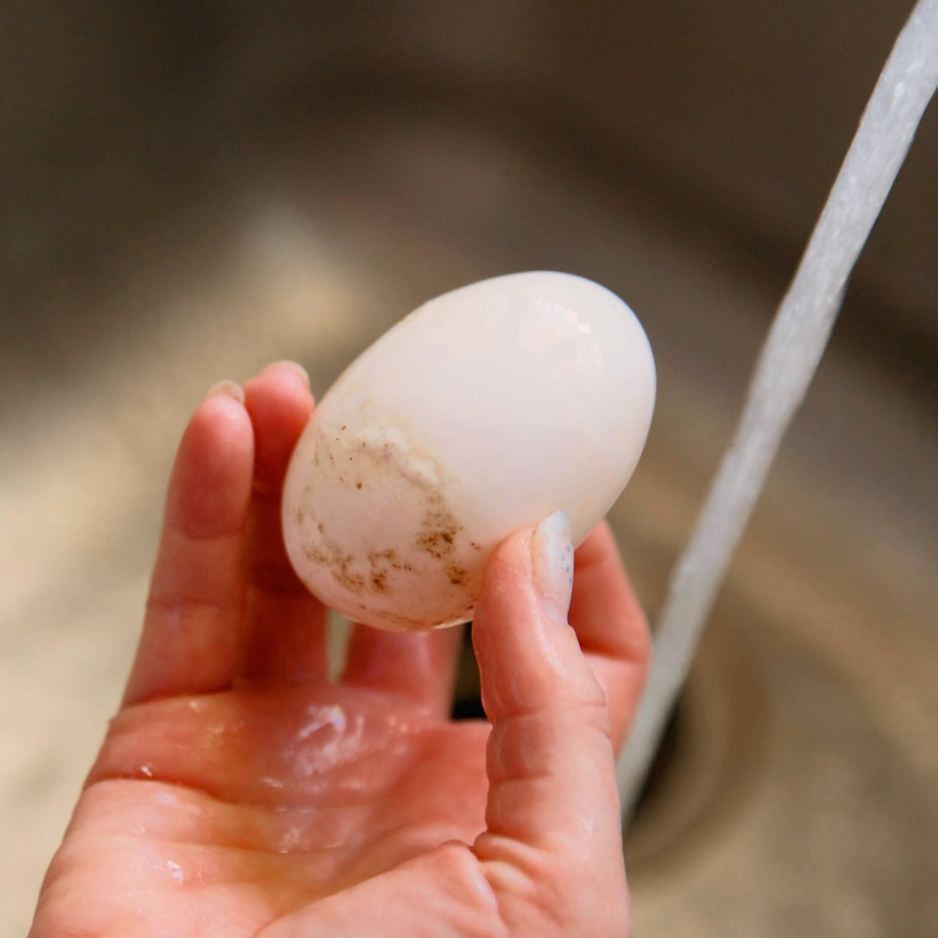 Person washing an egg under running water with a green GoodEgg brush in a sink.